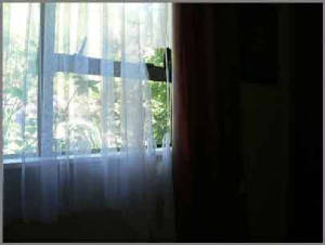curtains1.jpg