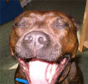 tiasmile1.jpg