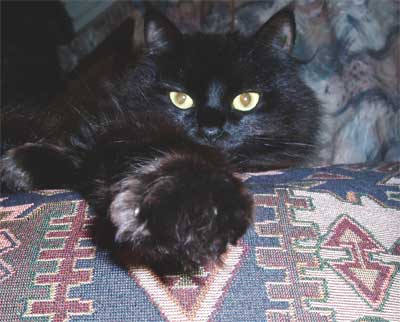 01.11.07-021.jpg