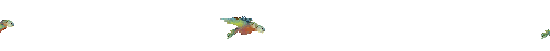 21.gif