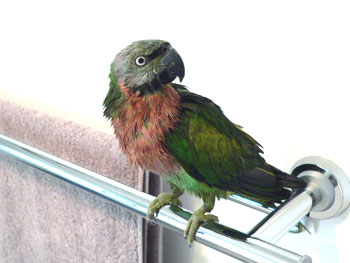 hootshower5.jpg