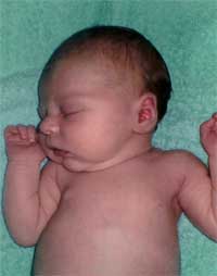 maddisonscan0002.jpg