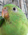 polly4.jpg