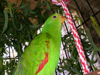 polly6.jpg